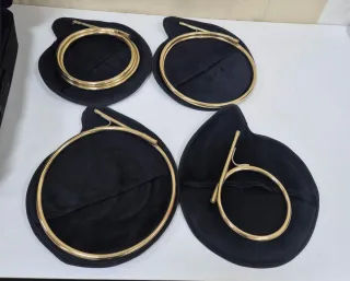 Trompa natural con estuche