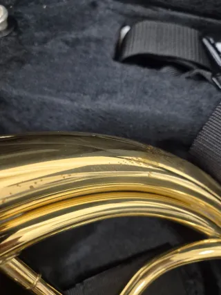 Trompa natural con estuche