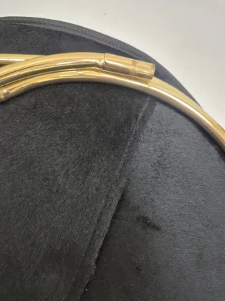 Trompa natural con estuche