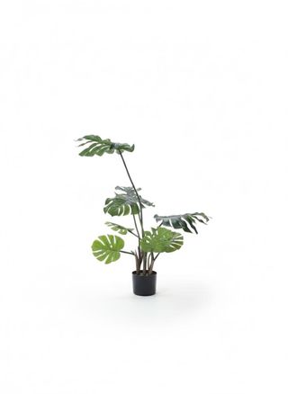 Planta Tropical Artificial con Tiesto Negro