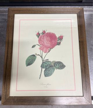 Cuadro Rosa Flor Papel Marco Madera