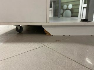 Estantería blanca Royal Canin