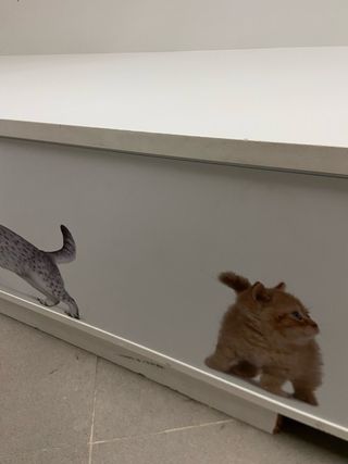 Estantería blanca Royal Canin