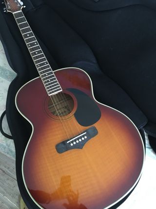 Guitarra Acústica Canvass