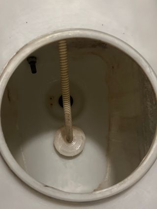 Pulverizador Agrojardín DOLZ con motor