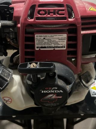 Pulverizador Agrojardín DOLZ con motor