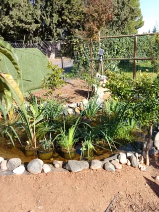 Habitación en zona rural a cambio de colaboración