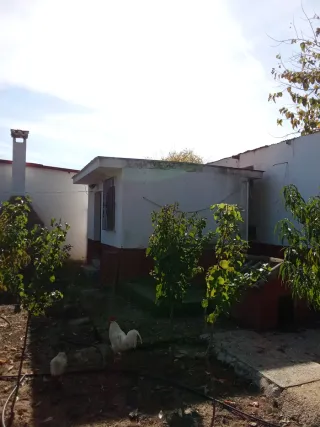 Habitación en zona rural a cambio de colaboración