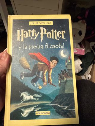 Harry Potter Y La Piedra Filosofal