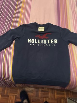 Sudadera Hollister Hombre Azul Marino
