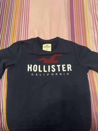 Sudadera Hollister Hombre Azul Marino
