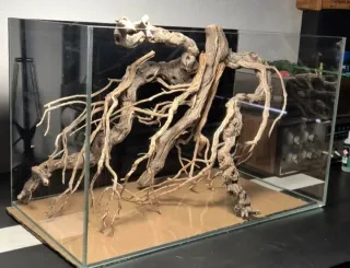 Raíz/tronco (COMPOSICIÓN) Decoración acuario