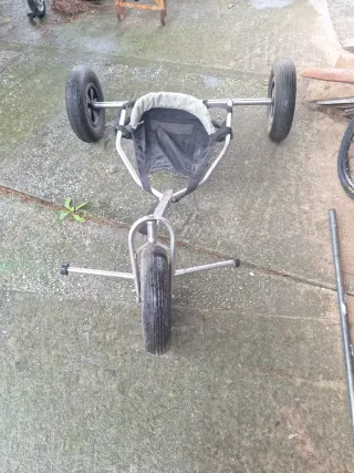 Buggy Peter Lynn competition