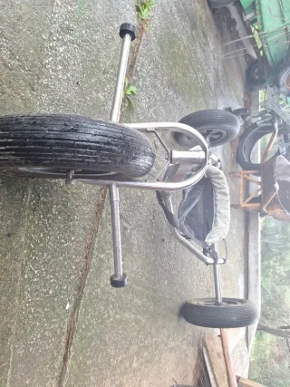 Buggy Peter Lynn competition