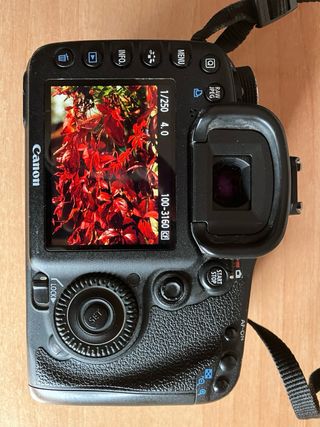 Cámara Canon EOS 7D (cuerpo)