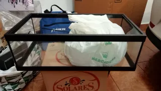 Acuario terrario negro y transparente