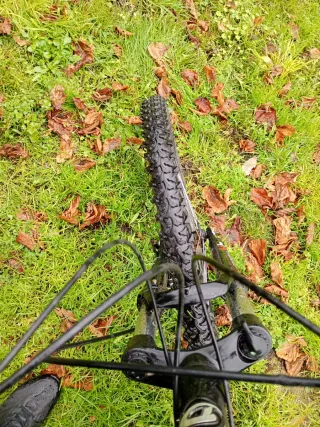 Bicicleta de montaña