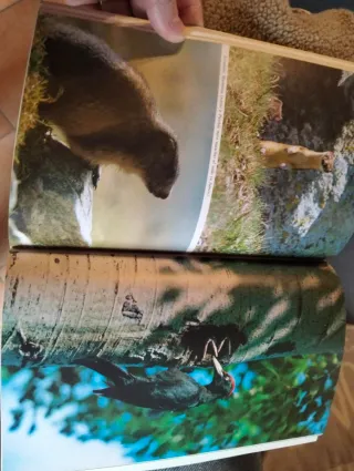 Piemonte: Ambiente - Fauna - Caccia