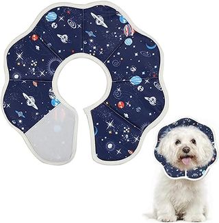 Xiuyer Collar Isabelino para Perro Grande y Pequeño, Plegable, para Curación de Heridas, Gatos y Cachorros, Azul (L)