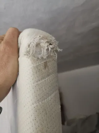 Somier Darwin 150 cm