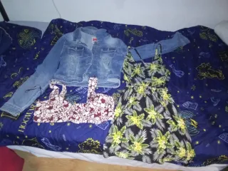 Lote de ropa de distintas marcas, de la talla S/M