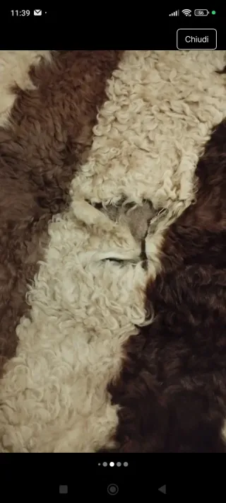 Coperta in pelliccia di agnellino