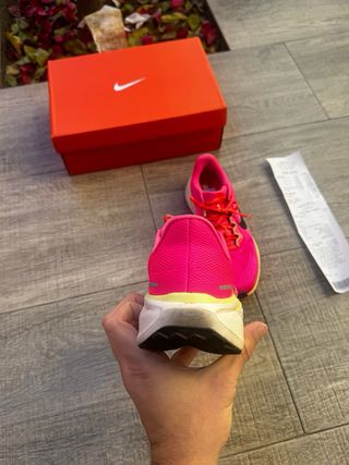 nike air zoom pegasus - 40