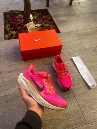nike air zoom pegasus - 40
