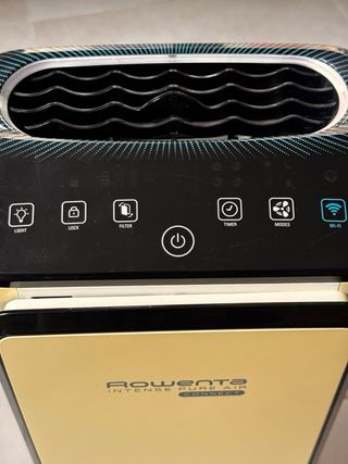 Purificador Rowenta Intense Pure Air Connect