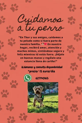 Cuidado perros