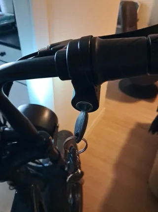 Bicicleta Eléctrica 250W