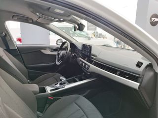 Audi A4 Advanced 30 TDI 100kW (136CV) S tronic