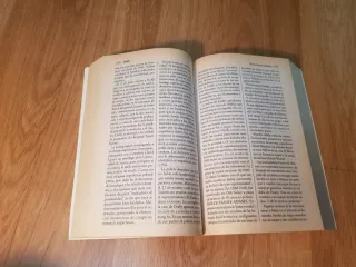 Diccionario del Crimen (Spanish Edition)