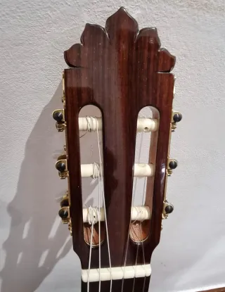 Guitarra  palo santo