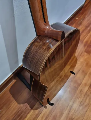 Guitarra  palo santo