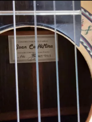 Guitarra  palo santo