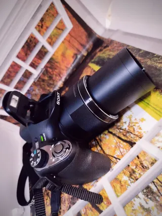 Sony calidad y potentisimo Superzoom impecable