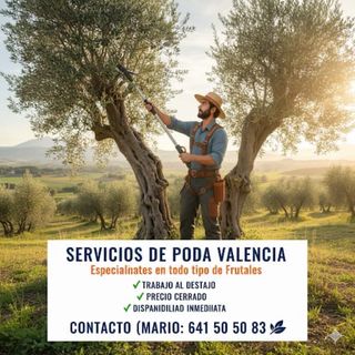  SERVICIOS DE PODA VALENCIA 