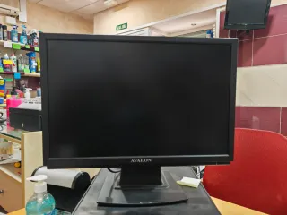 Monitor Avalon 22 con altavoces