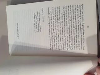 El asistente interior