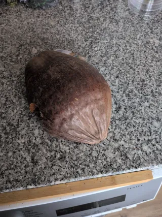 Coco Natural Grande Terrario Refugio