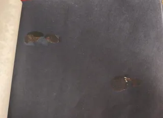 Álbum de fotos vintage piel años 60