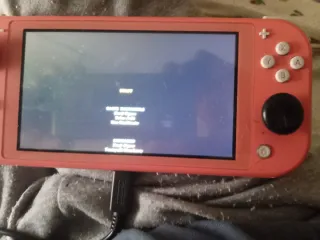 Nintendo Switch Lite Rosa