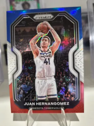 Carta Panini Prizm Juan Hernangomez 41