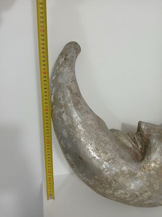 Decorazione Luna Crescente Cartapesta