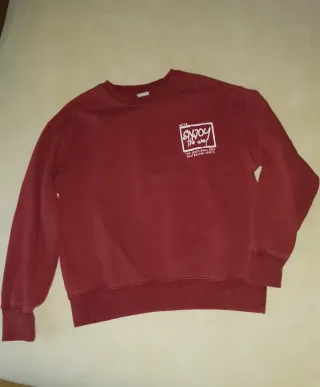 Lote 2 sudaderas niño Zara