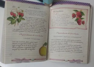 Técnicas y recetas para elaborar en casa licore...