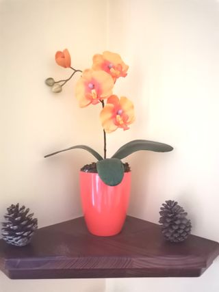 Lote decoración hogar, maceta, y jarrones