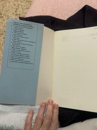 Levantar Ciudades (Spanish Edition)