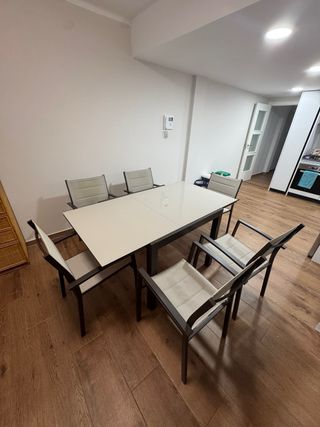 Mesa de jardín con 6 sillas